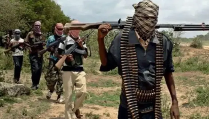 Emir urges Kebbi communities to acquire licensed weapons amid rising bandit attacks