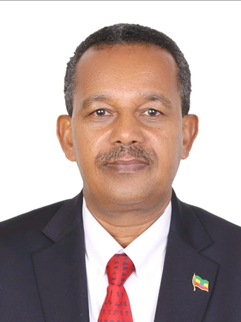 Ethiopian Ambassador calls on African leaders to bolster democratic institutions across the continent