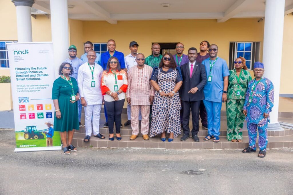 Nigeria seeks to enhance foreign exchange through ginger value chain revitalization initiative