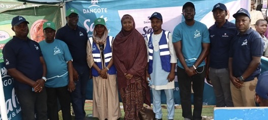 Dangote Salt