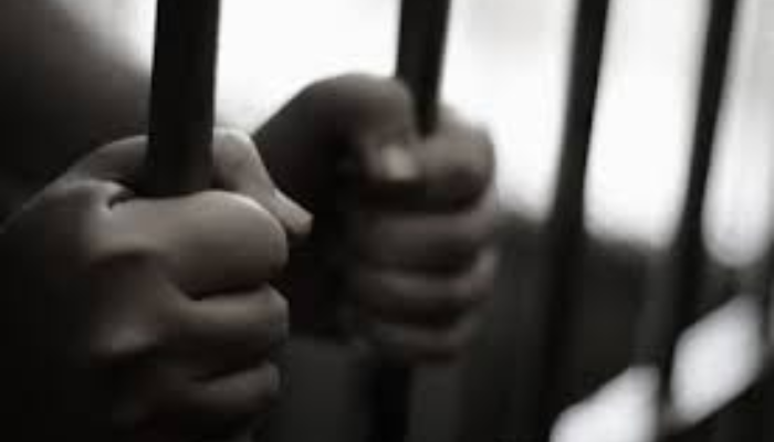 Mrs. Alamu and the grammar of captivity