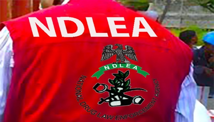 NDLEA Kaduna closes 662 drug operations and achieves 245 convictions within a year