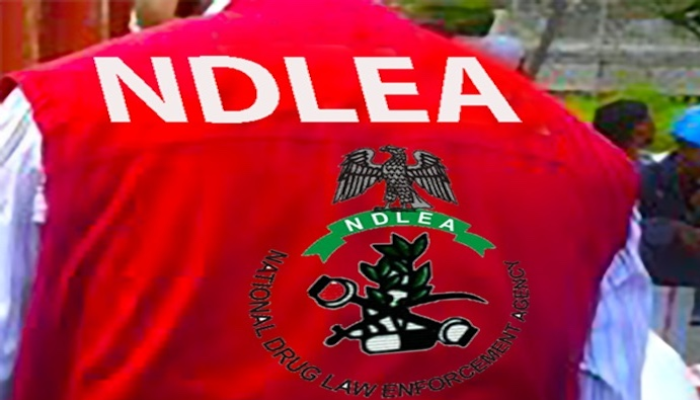 NDLEA arrests 429 drug suspects in one year in Abia