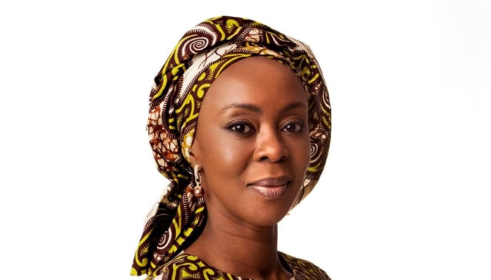 Reckitt Nigeria appoints non-executive board directors to drive operations