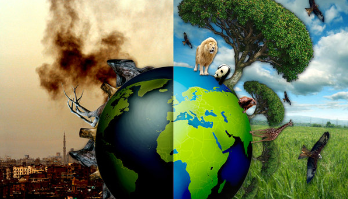 Rivers’ stakeholders urge implementation of enhanced environmental regulations and sanitation measures