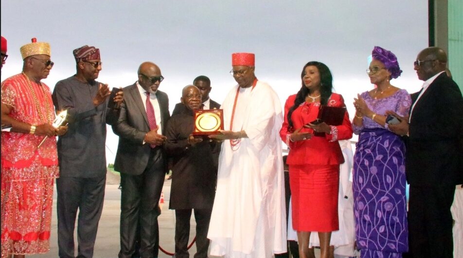 Honoring Nigeria's heritage, two aircraft named after Achebe, says UNA chairman Okonkwo