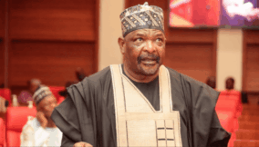 Sweaty wigs, Senate fireworks, Ningi and his spear