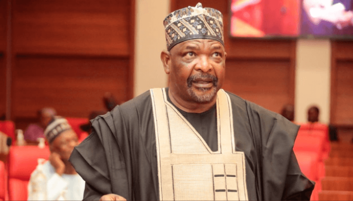Sweaty wigs, Senate fireworks, Ningi and his spear