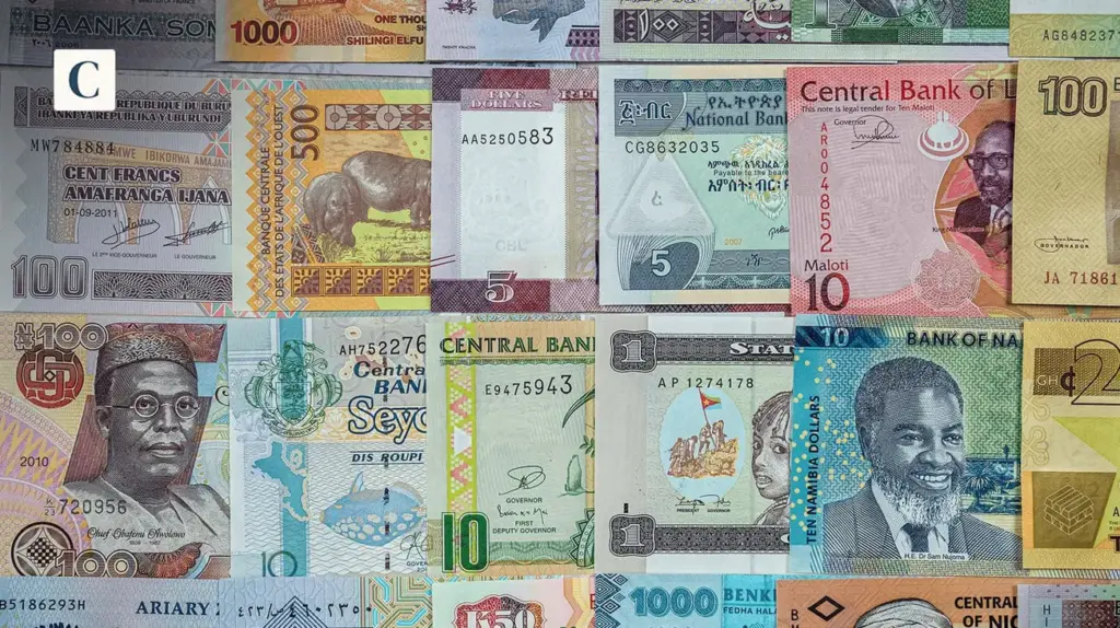 AFRICA FINANCE IN BRIEF: Rate hike calls, infrastructure capital, currency pressures dominate markets