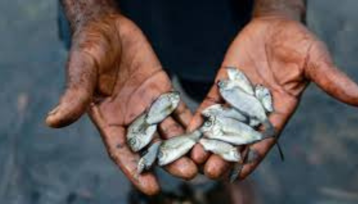 The rising concerns over oil pollution impact on public health in Bayelsa