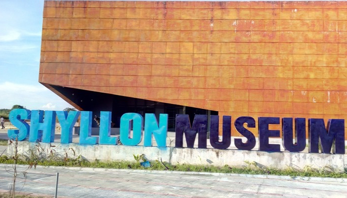 Yemisi Shyllon Museum of Art