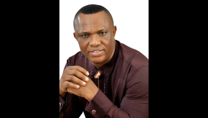 Olaka Nwogu secures Rivers senatorial bye-election victory for the PDP with Wike's support