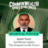 Executive bookshelf: AI concerns cloud Caribbean region Commonwealth Short Story prize