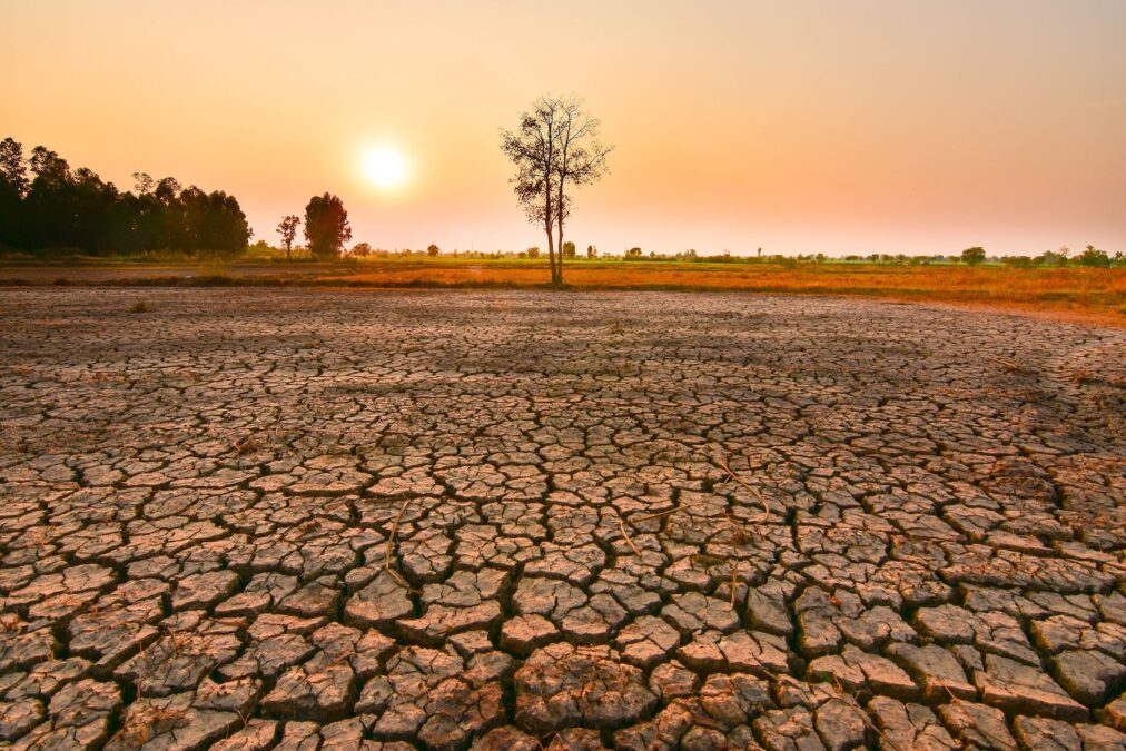 Africa finance in brief