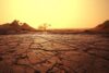 Potential warming temperatures could wipe up to $20bn from African economies, AfDB warns