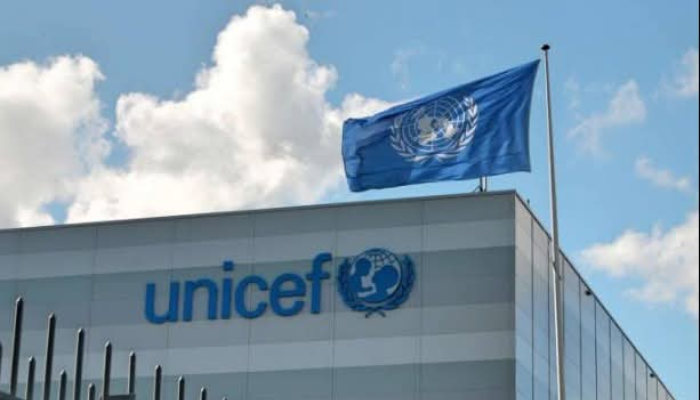 Adamawa records 48.6% child stunting, government, UNICEF intensify nutrition intervention