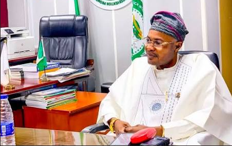 SGF documents show ‘fake agency’ existed despite FG’s denial