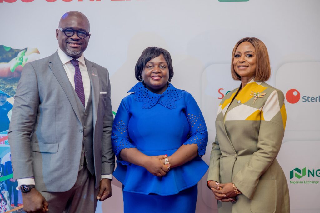 Nigeria seeks banking support and local investment to address $171 billion climate finance shortfall