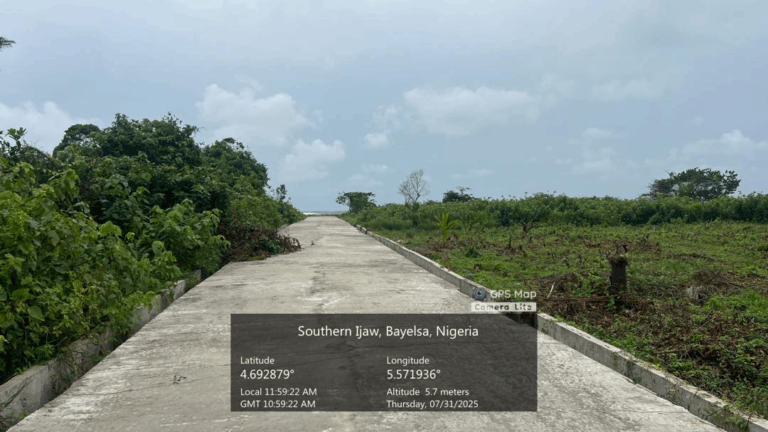 New roads spring up in swampy rural areas 