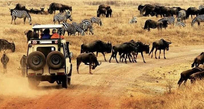 Akwaaba 2026: Sport meets tourism, as AFCON offers opportunities to African tour operators