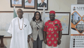 NDPHC names two executive directors in leadership overhaul