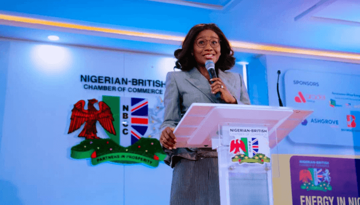 Energy in Nigeria: From potential to reality