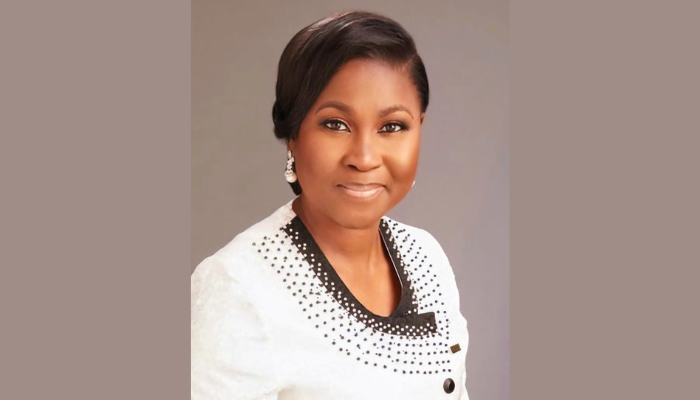 Resilient healthcare system fundamental to wellbeing, productivity of every nation – Edun