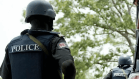 State Police Political theatrics or national necessity