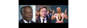 Successful African immigrants
