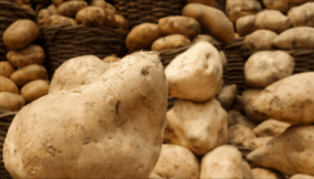 Sweet potato