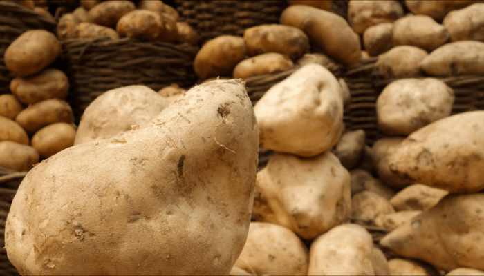 Sweet potato