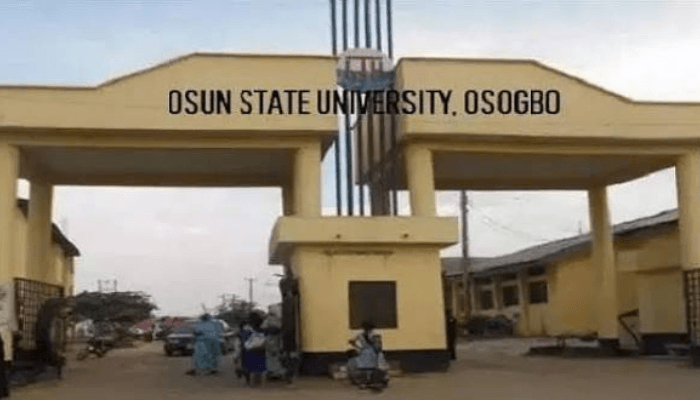 UNIOSUN and NANS call for justice after students' assault as Army initiates investigation