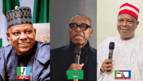 2027 presidential running mates: What Shettima, Kwankwaso, Amaechi bring to the table