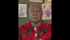 What state police system must avoid- Chukwuma
