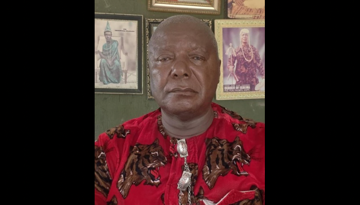 What state police system must avoid- Chukwuma