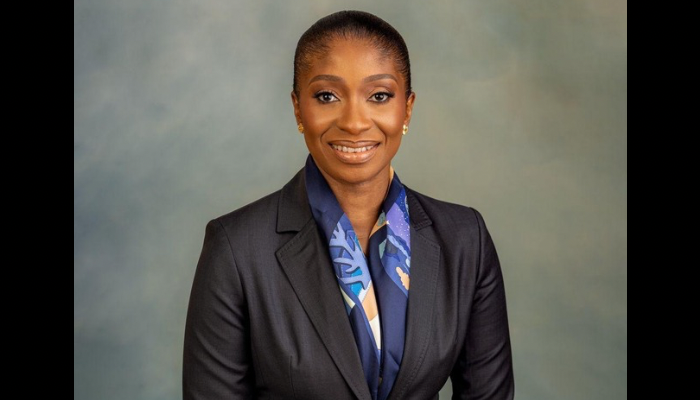 Nigeria AI system