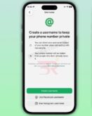 Username whatsapp